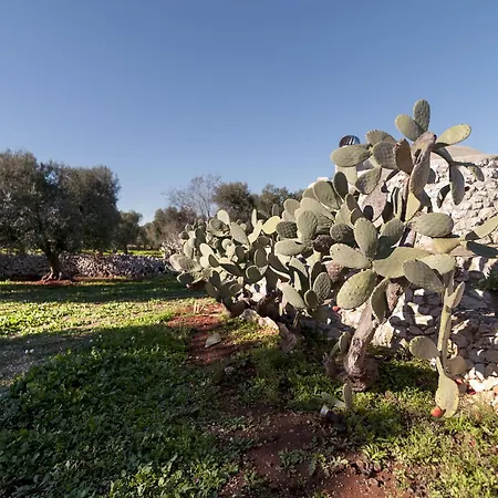 Villa Artemide Carovigno