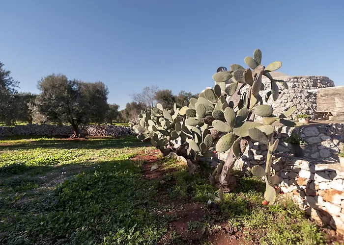 别墅 Artemide 卡洛维诺